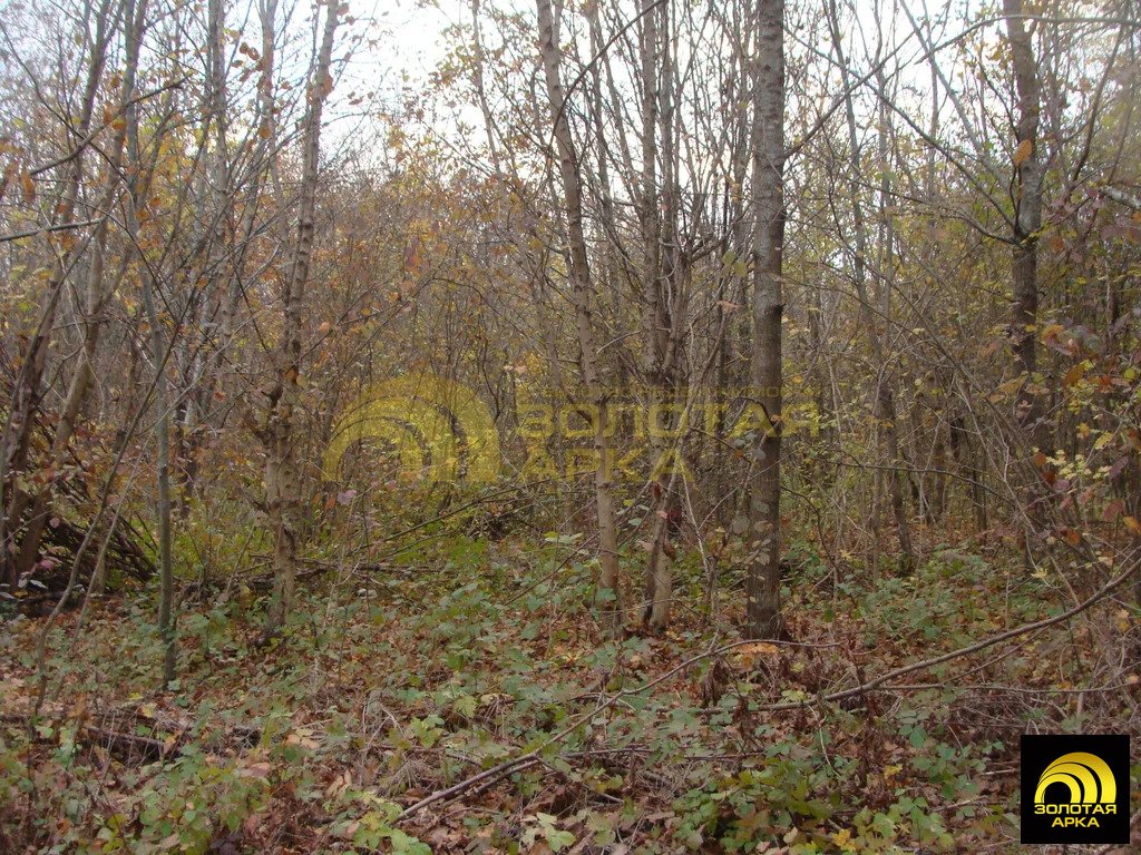 Продажа участка, Ставропольская, Северский район - Фото 2
