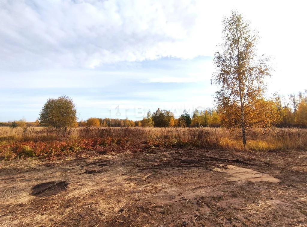 Суздальский район, село Оликово, Центральная улица,  земля на продажу - Фото 12