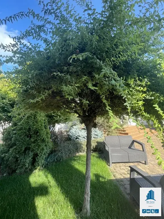 Ценителям сочетания премиальной роскоши и высокого статуса. - Фото 8