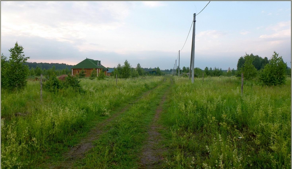 5 соток поселок. Деревня малые Петрищи. ДНП Лесная Поляна. Деревня малые жеребцы Щелковский район. ДНП Лесная Поляна Марий Эл.