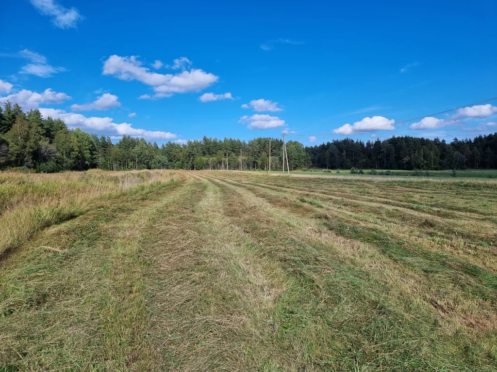 Продажа участка, Солнечное, Приозерский район - Фото 6