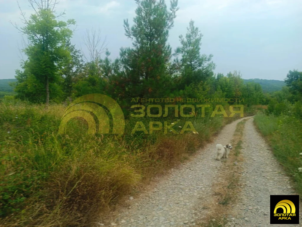 Продажа участка, Чибий, Северский район - Фото 12