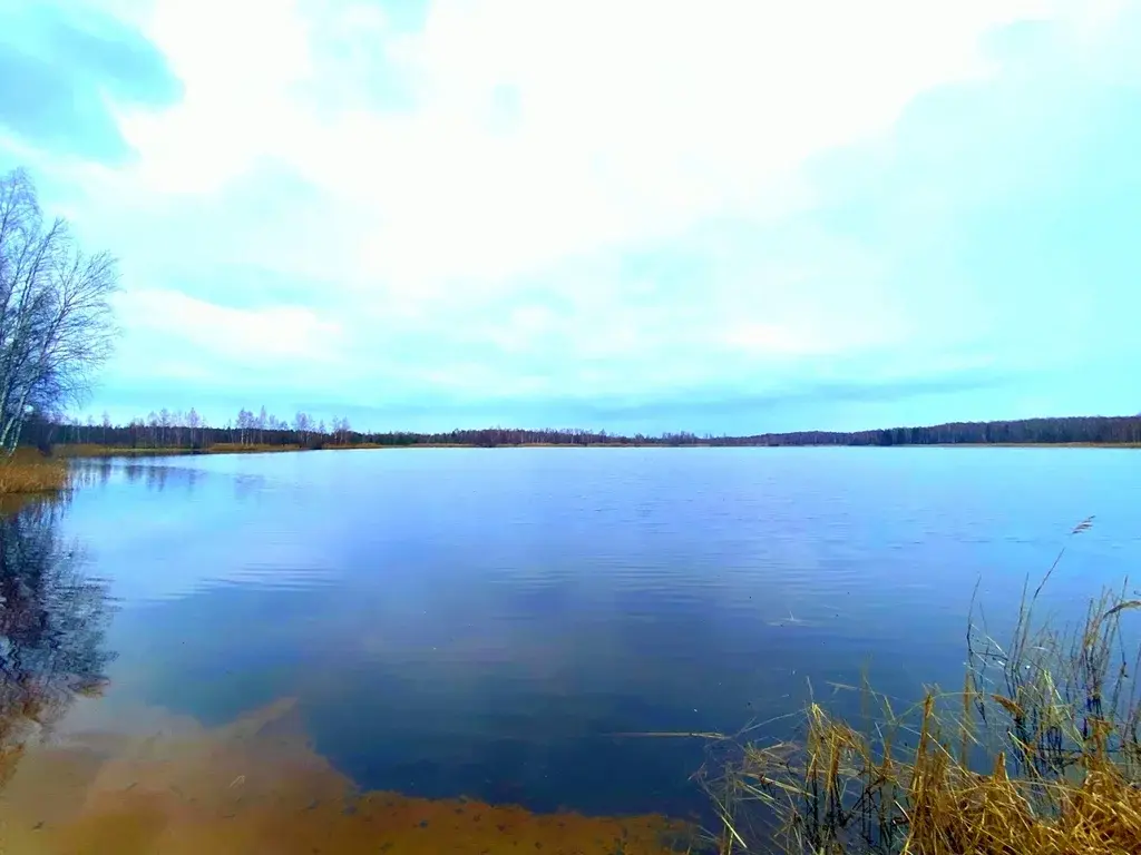 Дача в СНТ Пластмассы - Фото 12