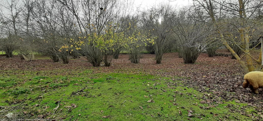 Продажа участка, Высокое, Бахчисарайский район, ул. Куйбышевская - Фото 8