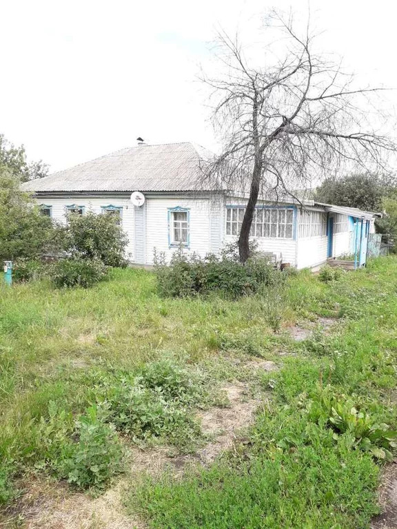 Погода турово на 14. Турово Воронежская область. Верхнее Турово Воронежская область. Нижнее Турово Воронежская область