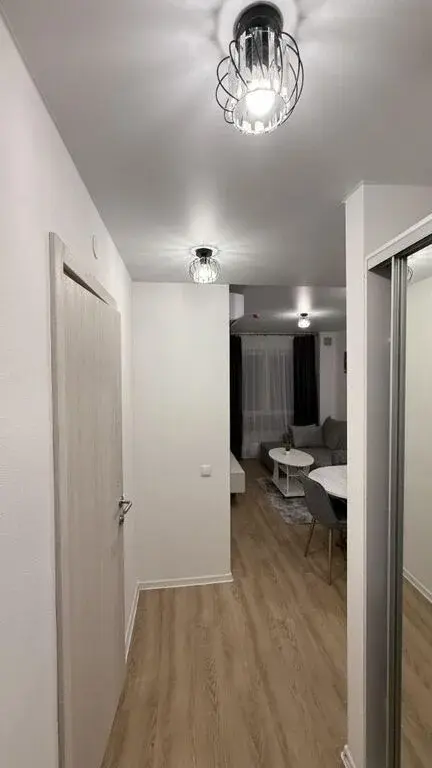 Климова, 25 (27000) 1комн - Фото 3