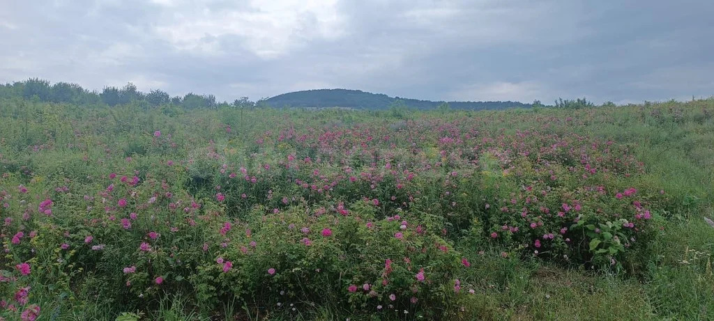 Продажа участка, Трудолюбовка, Бахчисарайский район, ул. Садовая - Фото 0