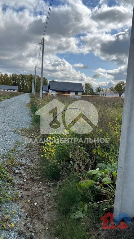 Новосибирский район, СНТ Флора-2,  земля на продажу - Фото 1