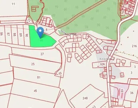 Калининградская область, Гурьевский район, пос. Козловка - Фото 3