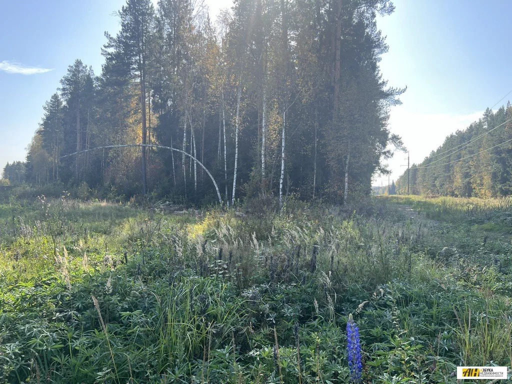 Продажа участка, Некрасовский, Дмитровский район - Фото 7