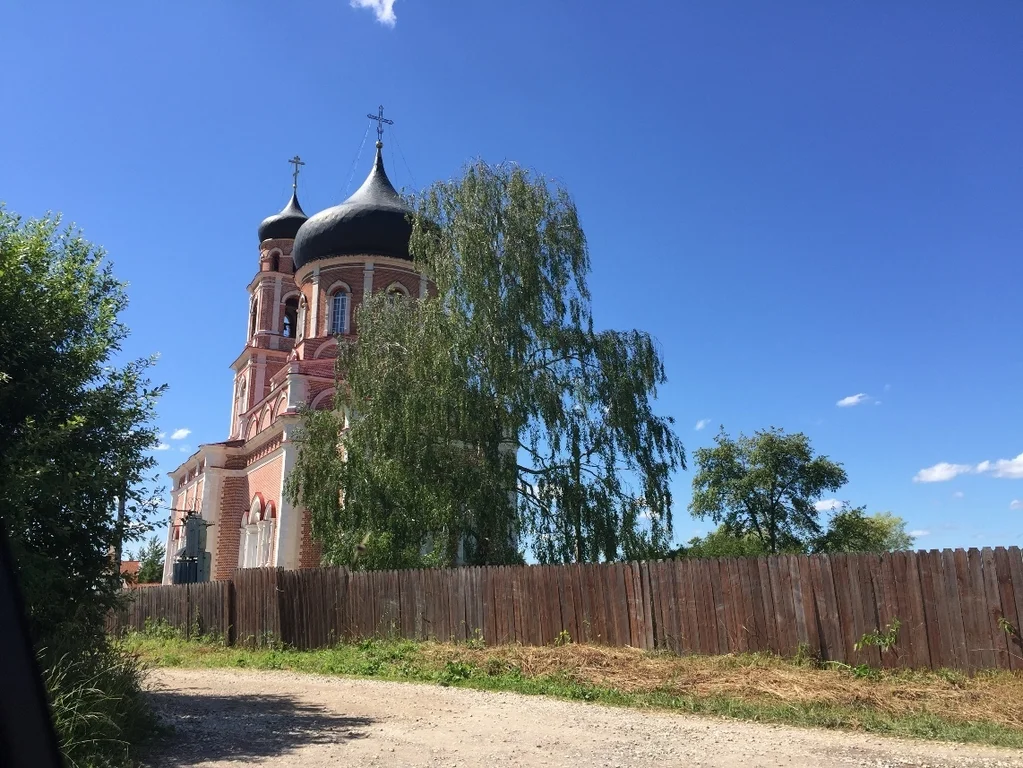 Погода в бортнево домодедовского. Деревня Бортнево Церковь. СНТ Домодедовец-Бортнево.