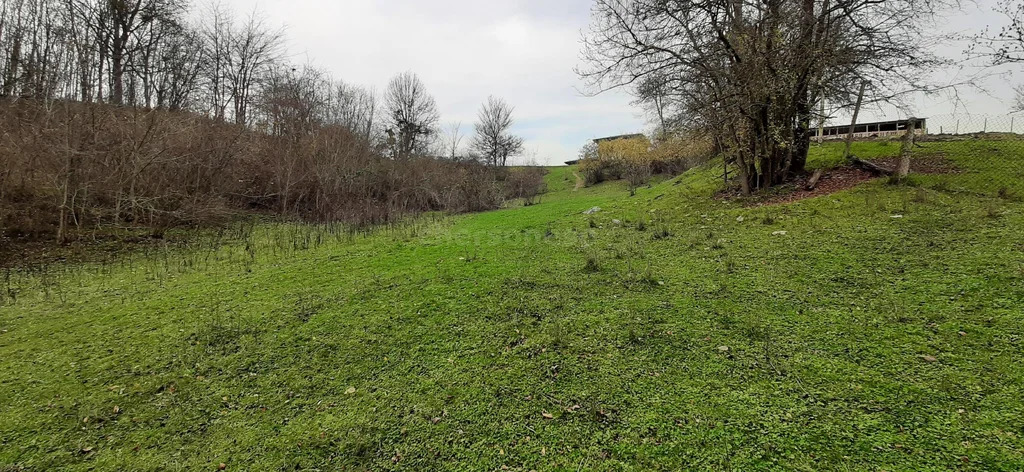 Продажа участка, Богатырь, Бахчисарайский район, ул. Шевченко - Фото 10