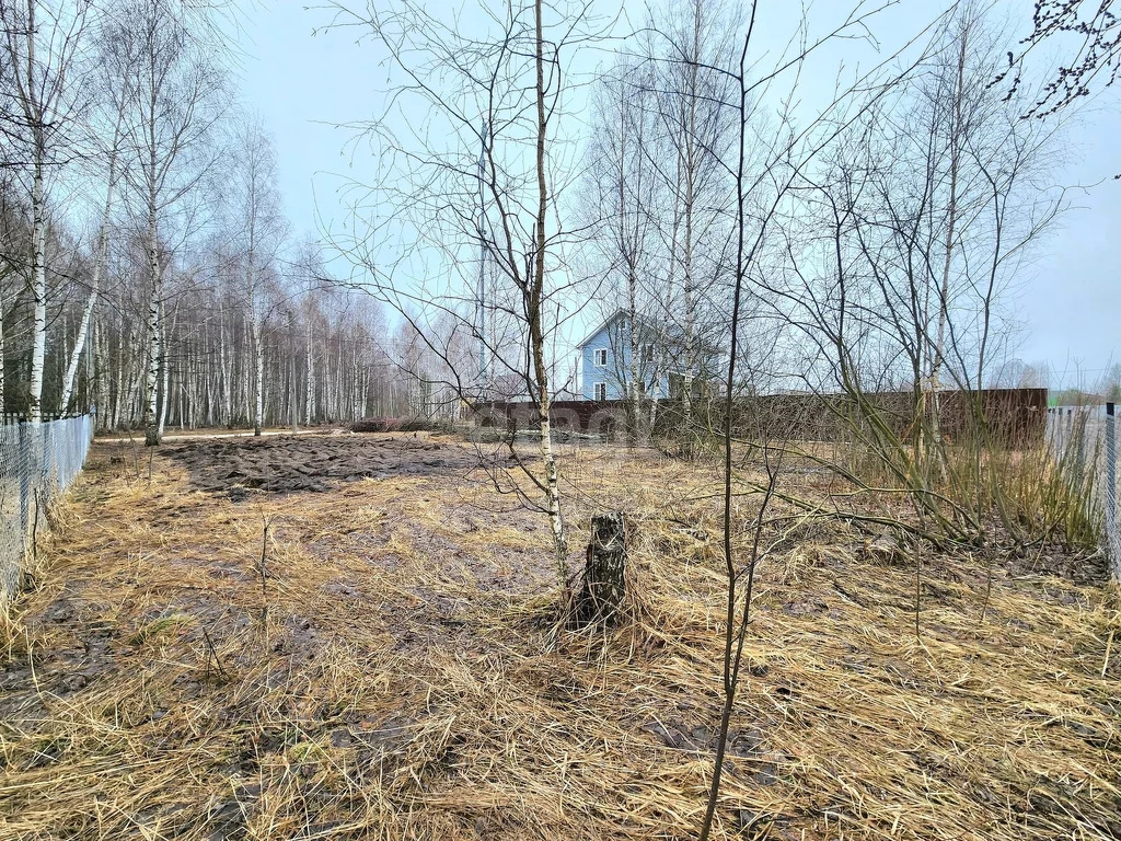 Участки назарьево. Поселок назарьево. Участки назарьево. Деревня назарьево павлово посадского. Деревня назарьево московская область.