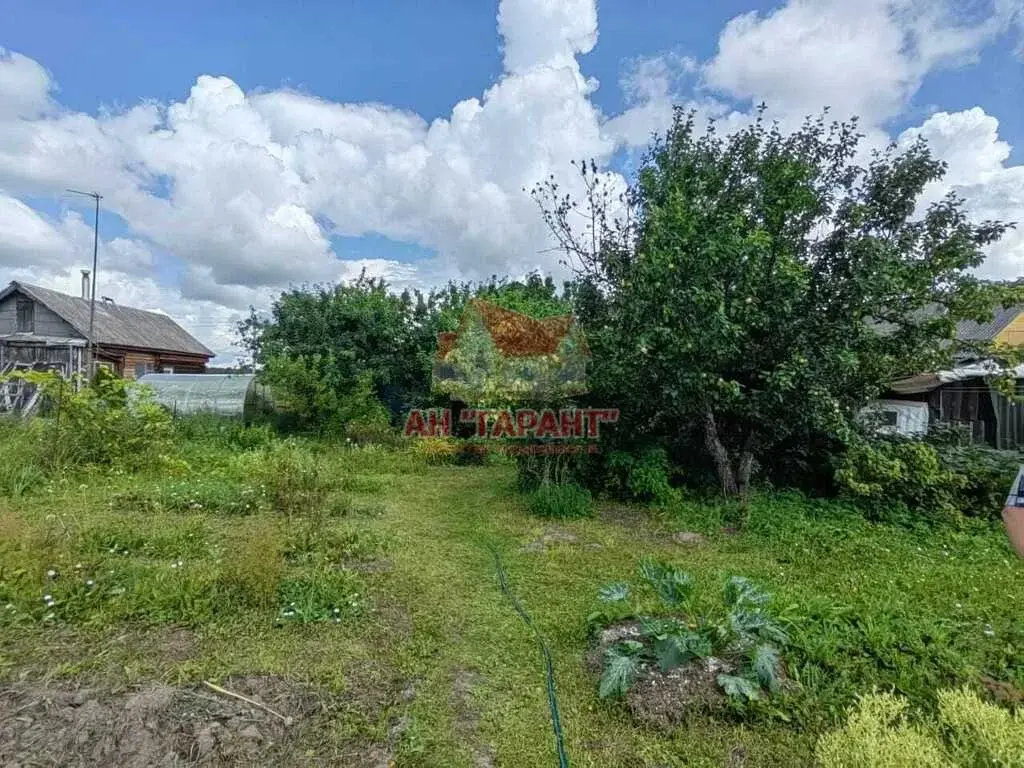 Дом в д.Буньково Александровский р-н Владимирская обл. - Фото 39