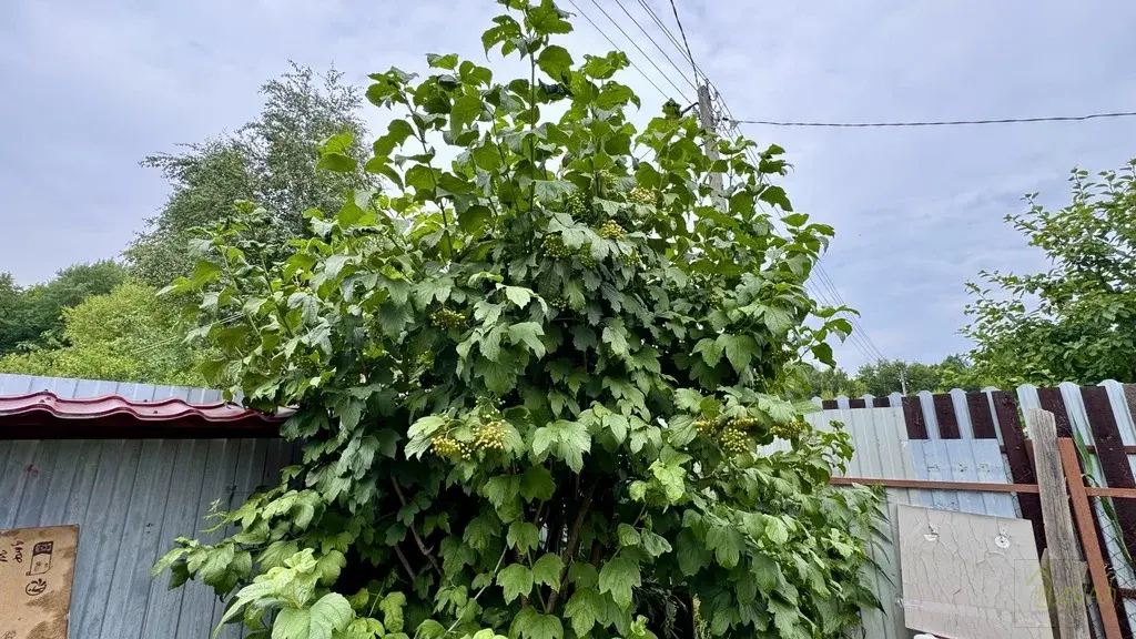 Дача рядом с городом и остановкой - Фото 34
