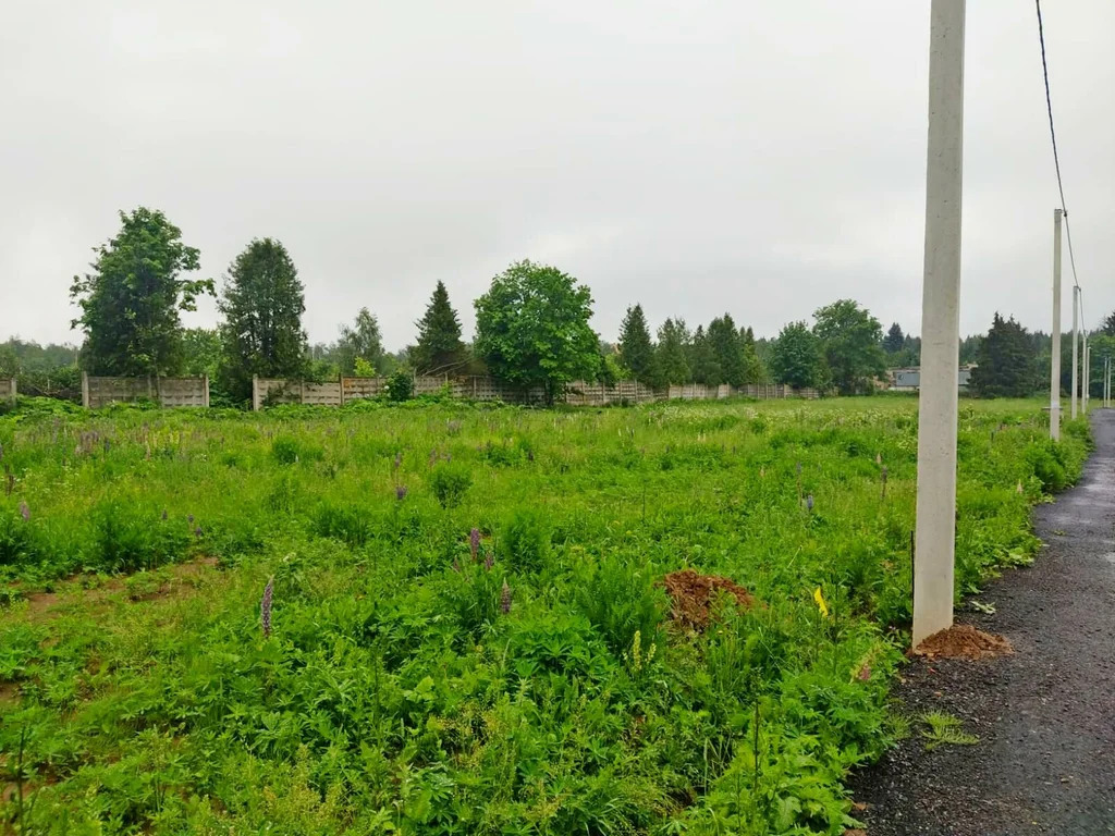 Продажа участка, Марфино, Мытищинский район, Приусадебная улица - Фото 3