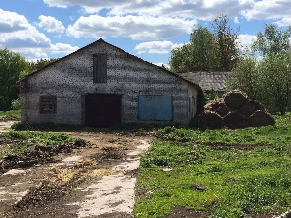 16 000 000 Руб., Ферма на участке 200 га вблизи пос. Балакирево, Купить  земельный участок Балакирево, Александровский район, ID объекта - 203262458