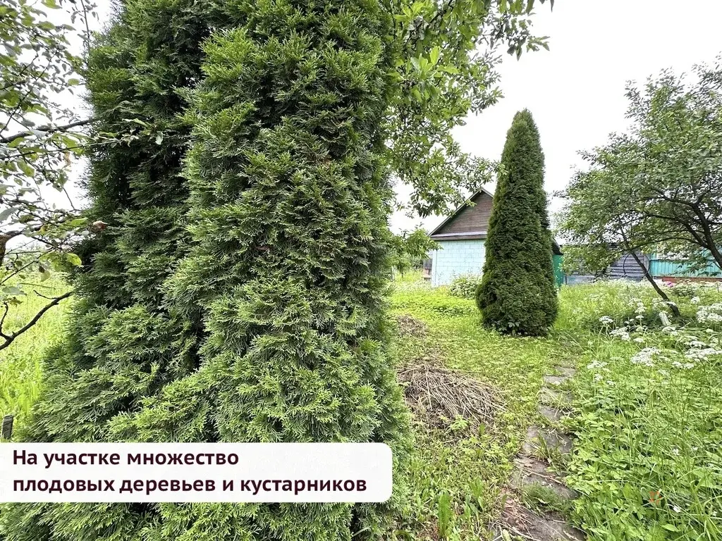 Продается дом Чеховский район, д. Гришенки - Фото 23