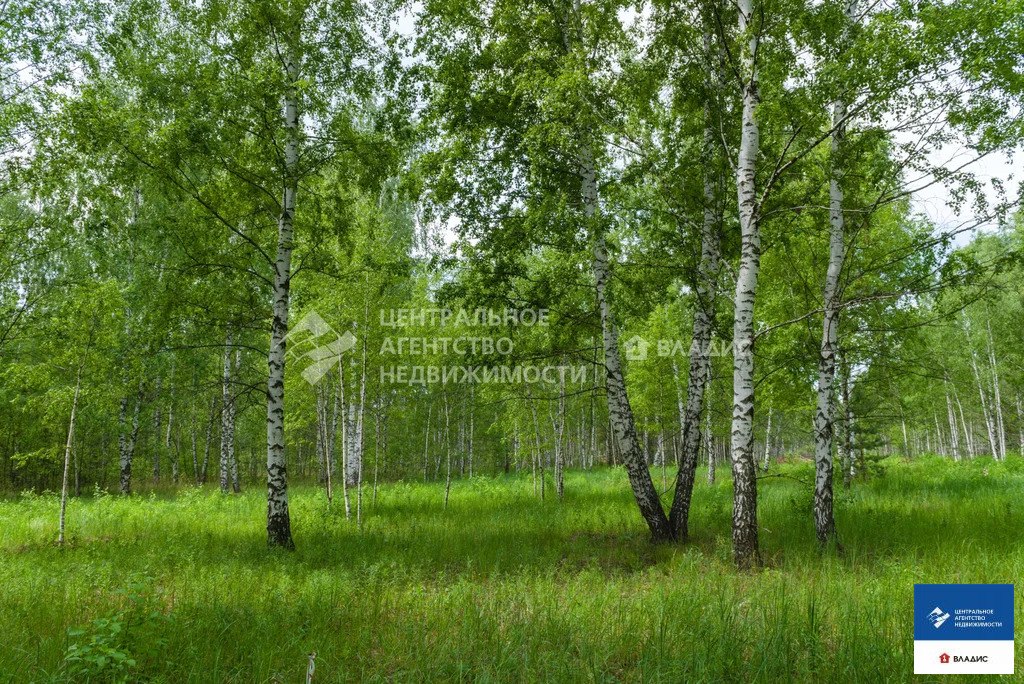 Продажа участка, Рязанский район - Фото 6