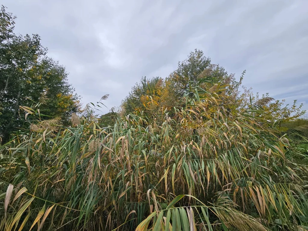 Продажа готового бизнеса, Абинск, Абинский район - Фото 9