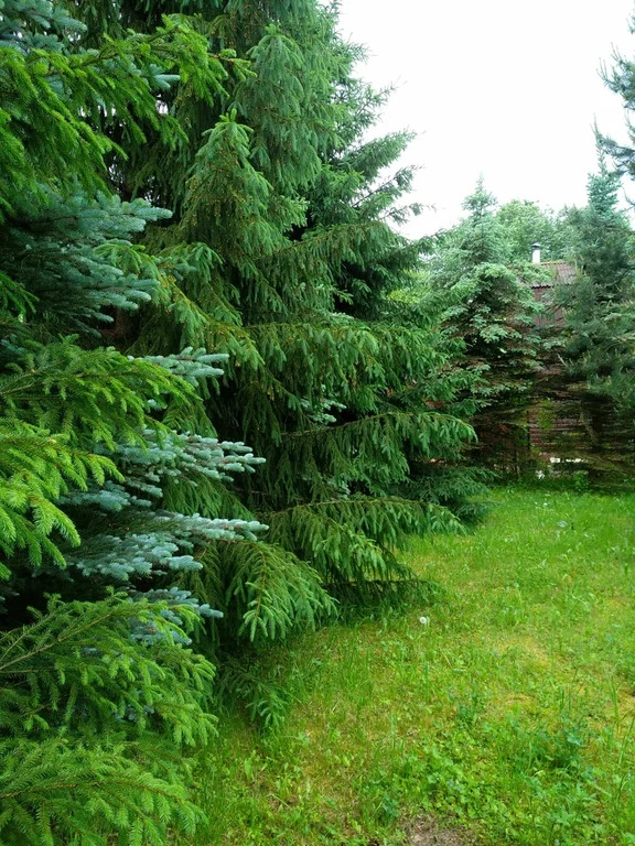 Продажа участка, Николо-Урюпино, Красногорский район, ул. Липовая - Фото 10