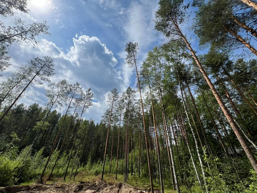 Всеволожский район, деревня Васкелово, Лемболовская улица,  земля на ... - Фото 4