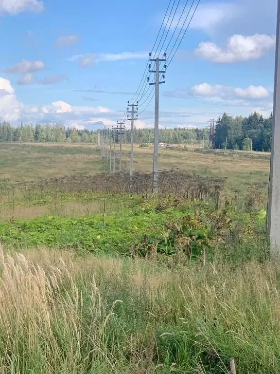 Промышленный участок 21 Га в 50 км от МКАД по Рогачевскому шоссе - Фото 2