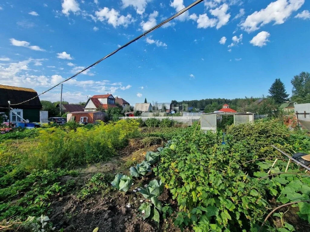 Продажа дома, Новосибирск, садовое товарищество Березовая Роща - Фото 5