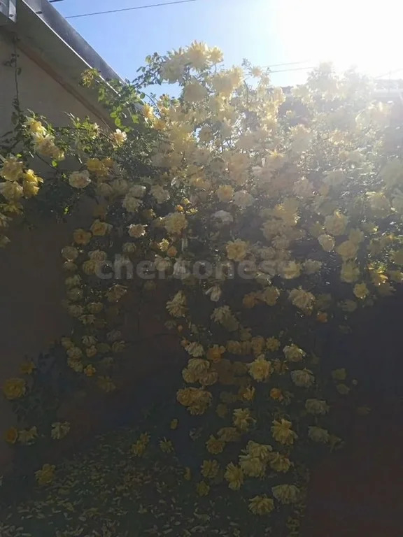 Продажа дома, Севастополь, территория СТ Прибрежное - Фото 12