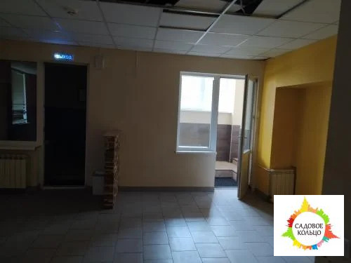 Помещение свободного назначения на цокольном многоквартирного жилого д - Фото 56