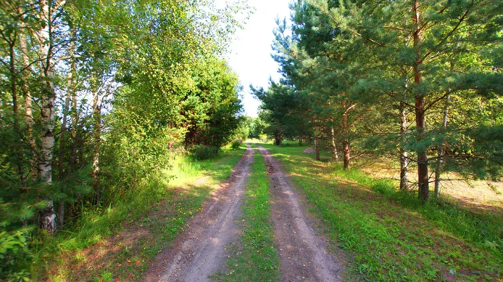 10 соток в селе Кузьминское Волоколамского гор.окр. Московской обл. - Фото 7