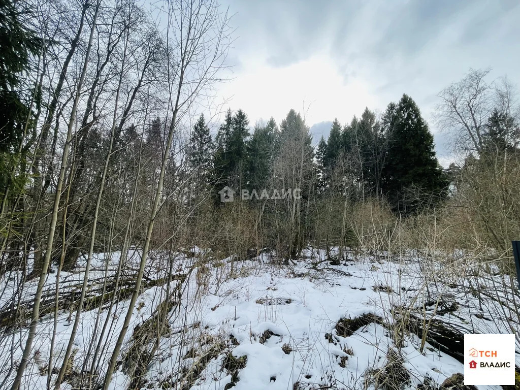 Продажа участка, Мизиново, Щелковский район - Фото 0