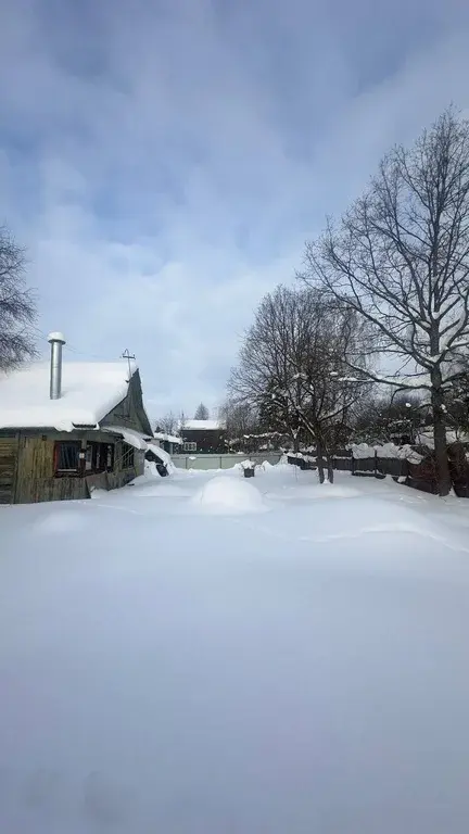 Участок в черте города Дедовска - Фото 5