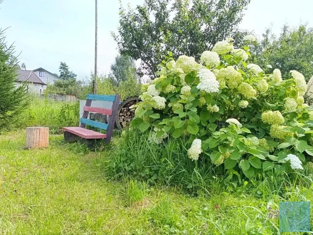 24,2 сотки ЛПХ в д. Редино - Фото 2