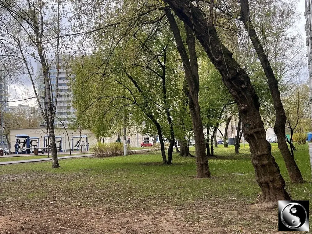 Москва, ЮАО, р-н Нагатинский затон, Кленовый бул., 10К2. Продается 3-к - Фото 30