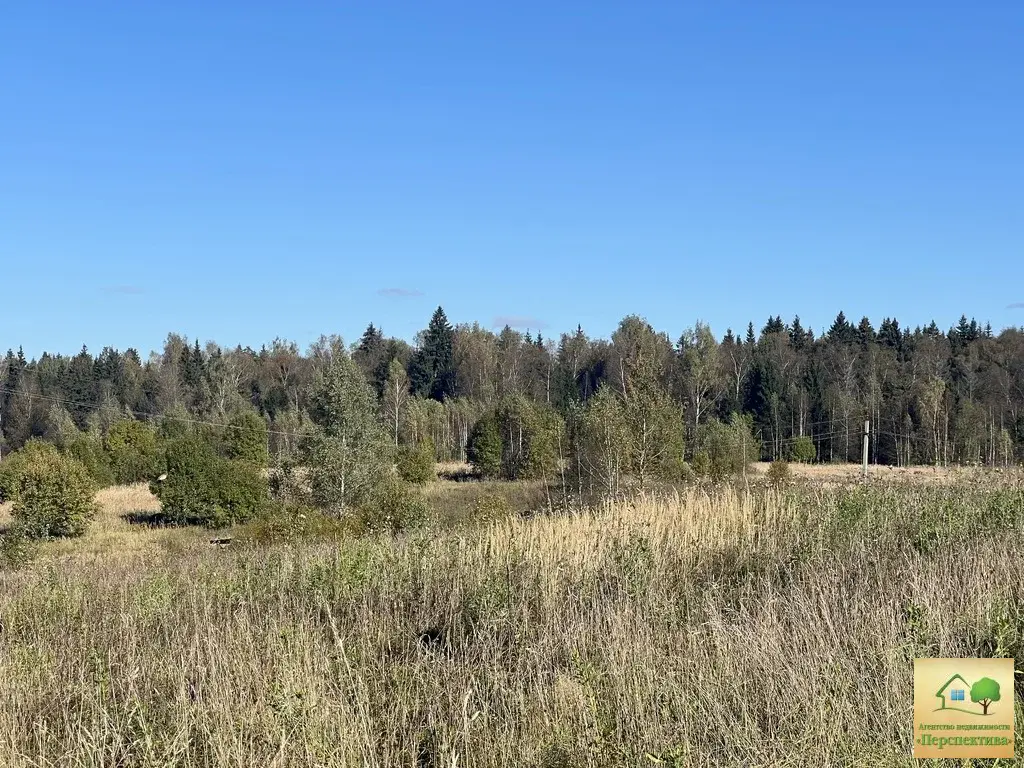 Участок 6,2 га (СНТ, ДНП) - Фото 4