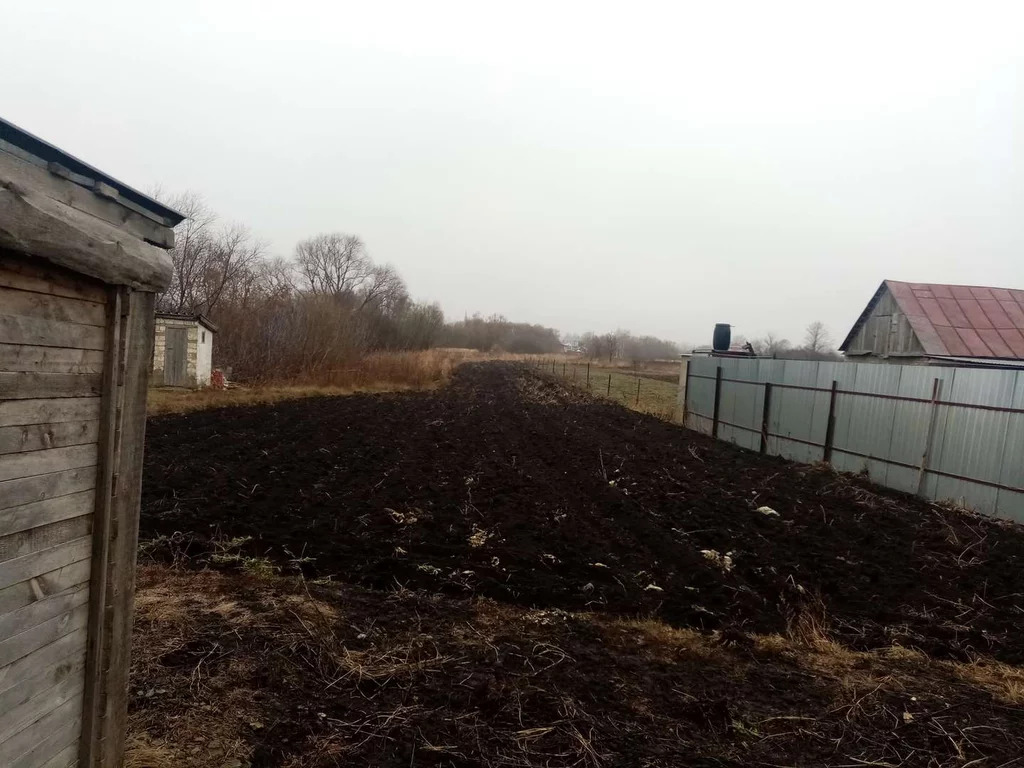 Тамбов село бокино. Село Бокино в Тамбове. Бокино Тамбовская область Заречье.