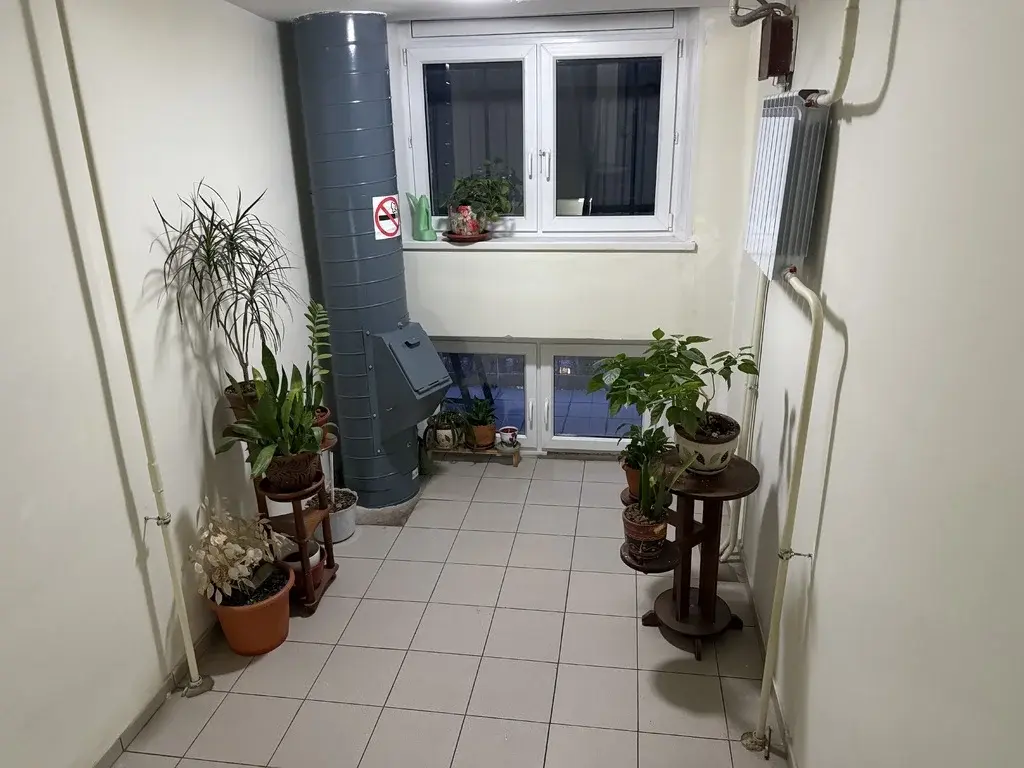 Квартира в кооперативном доме с панорамным видом на лес - Фото 11