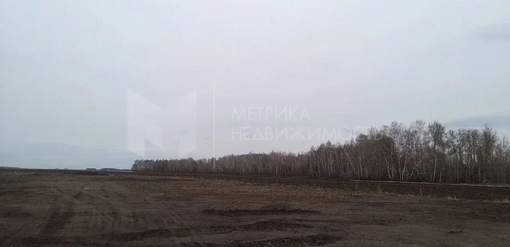 Продажа земельного участка, Тюменский район, Тюменский р-н - Фото 5