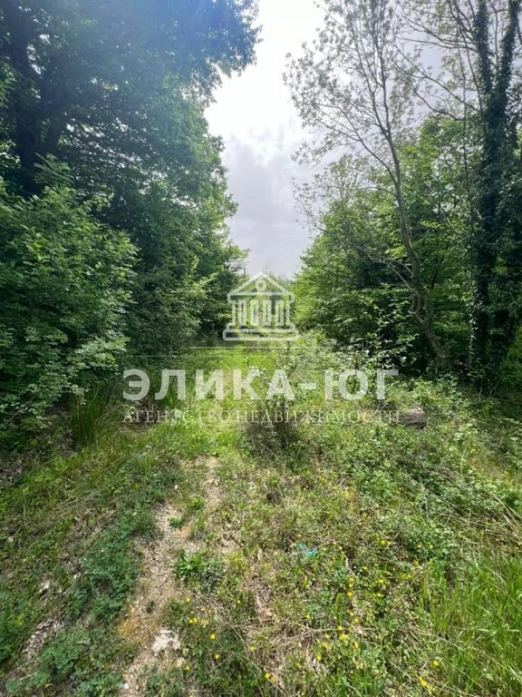 Продажа участка, Джубга, Туапсинский район - Фото 1