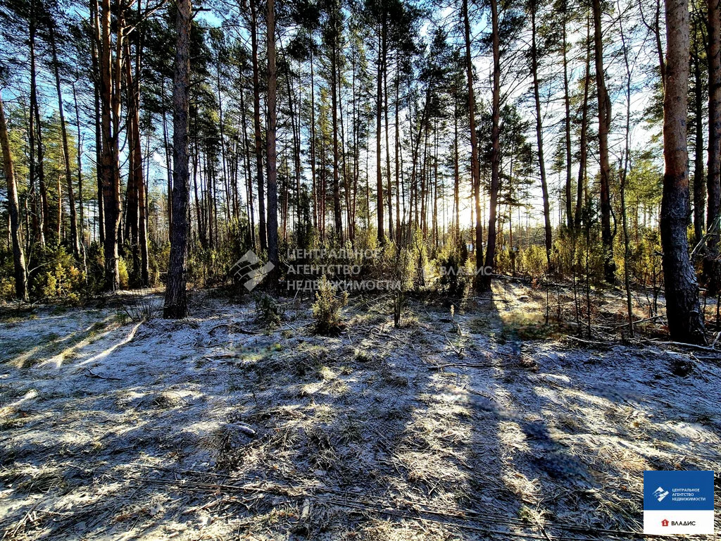 Продажа дома, Алеканово, Рязанский район, Новая улица - Фото 9