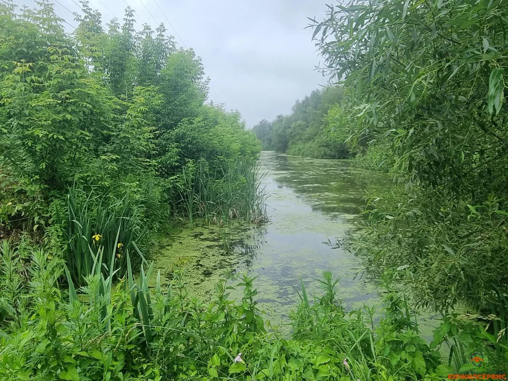 Продажа участка, Домодедово, Домодедово г. о., Московская обл - Фото 7