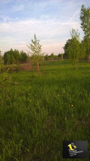 План снт кудрявцево