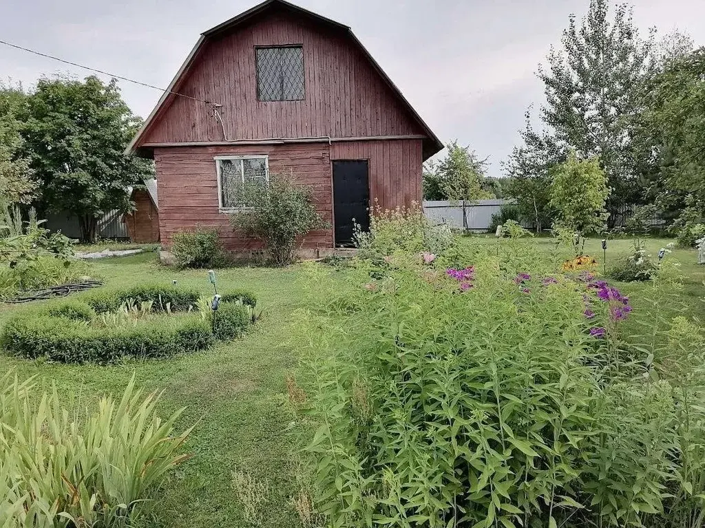Купить Дачу В Шаховской Недорого От Собственника
