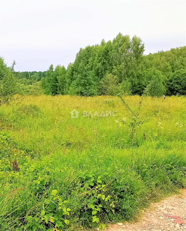 Жуковский район, деревня Алтухово, земля на продажу - Фото 4