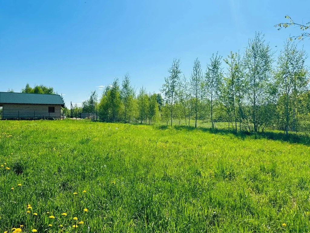 Продажа участка, Власково, Дмитровский район - Фото 2