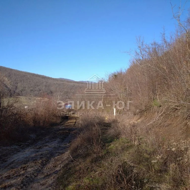Продажа участка, Новомихайловский, Крымский район, Листопадная ул. - Фото 10
