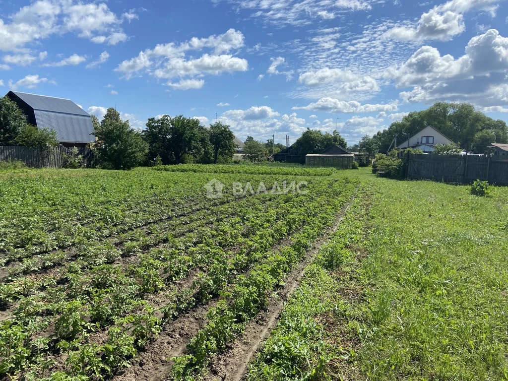 Суздальский район, село Сельцо, Центральная улица,  дом на продажу - Фото 10