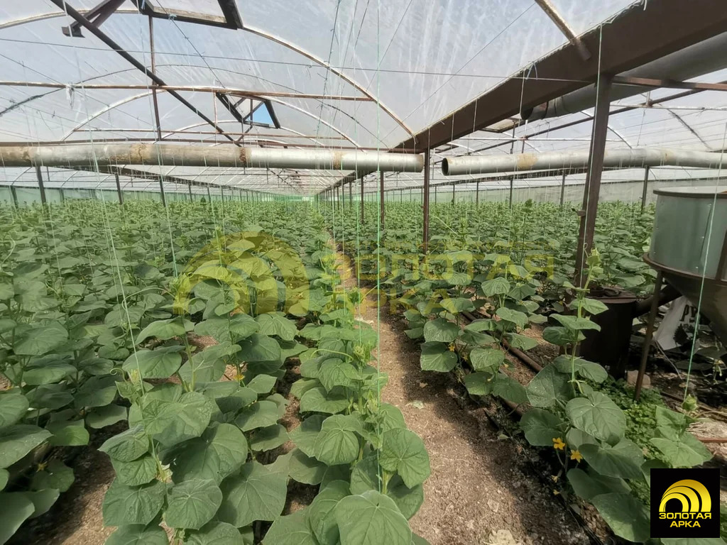 Продажа производственного помещения, Старонижестеблиевская, ... - Фото 3