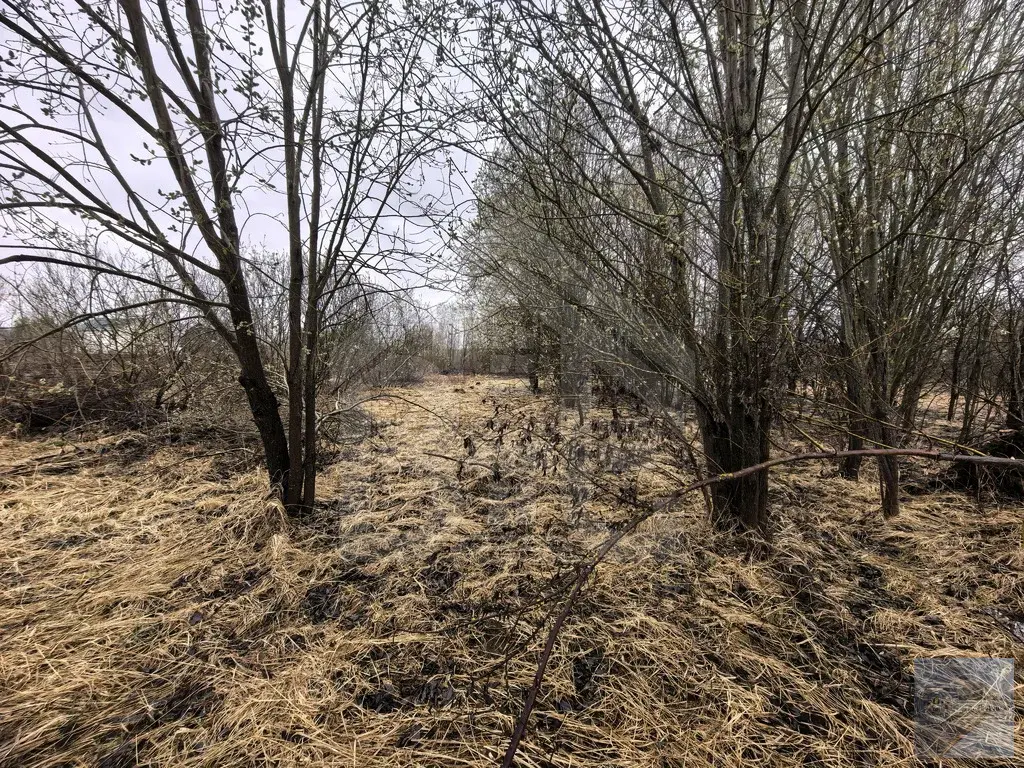 Продается большой участок 22,5 сотки, с. Степановское - Фото 4